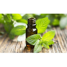Leaves Natural Peppermint Oil
