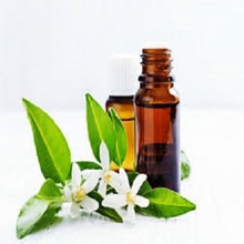 Neroli Oil