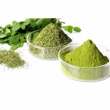 Gingerly Naturals Pure Moringa Powder, Color : Light Green