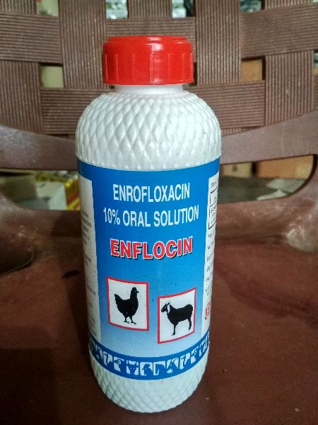 Enflocin Enrofloxacin 10% Oral Solution, Form : Liquid