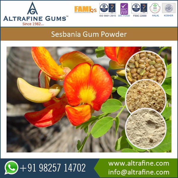 Food Additive Sesbania Gum Powder, CAS No. : 69522-36-7