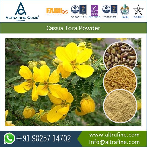 Nutritional Supplements Cassia Gum Tora Powder