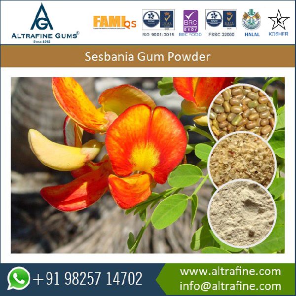 Organic Sesbania Gum Powder, Certification : ISO Certified Company