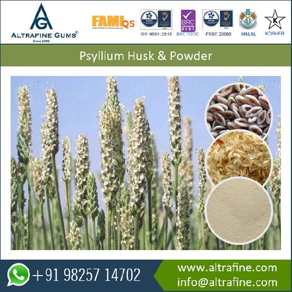 Pysllium Husk powder, Certification : HACCP, ISO, KOSHER, Halal