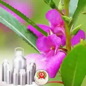 Gurjun Balsam Oil