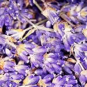 Lavender oil