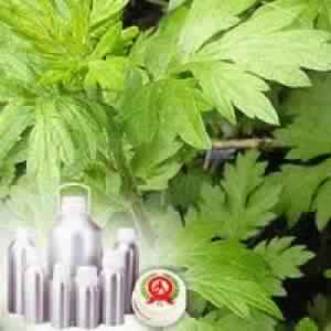 Mugwort Oil