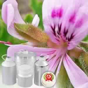 Rose Geranium