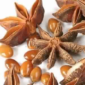 Star Anise Oil