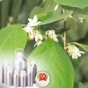 Styrax Benzoin Oil