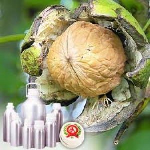 WALNUT OIL, for Cooking, Health Supplement, Persnol Care, Purity : 99%