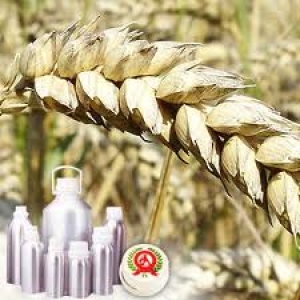 Wheatgerm Carrier Oil