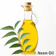 Crude Neem Oil