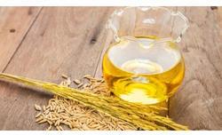 Organic Rice Bran Oil, Packaging Type : Plastic Bottle, Plastic Container