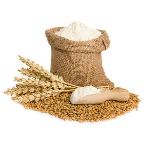 organic wheat flour