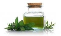 Peppermint Oils