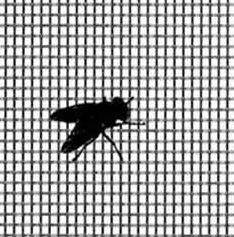 Insect & Fly Proof Wire Mesh