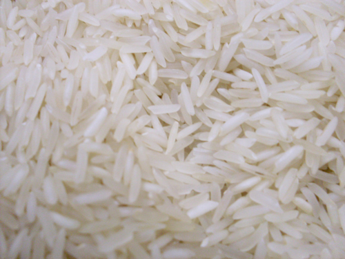 Basmati Sugandha Parboiled Raw Rice