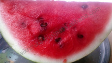 Common Fresh Juicy Watermelon