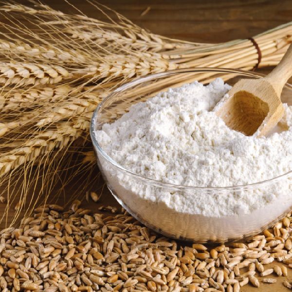 Organic wheat flour, for Cooking, Packaging Size : 10-20kg, 20-25kg, 25-50kg, Etc