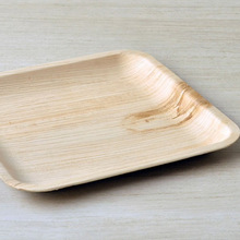 Bioworld Palm Leaf Plates, Feature : Disposable, Eco-Friendly, Stocked