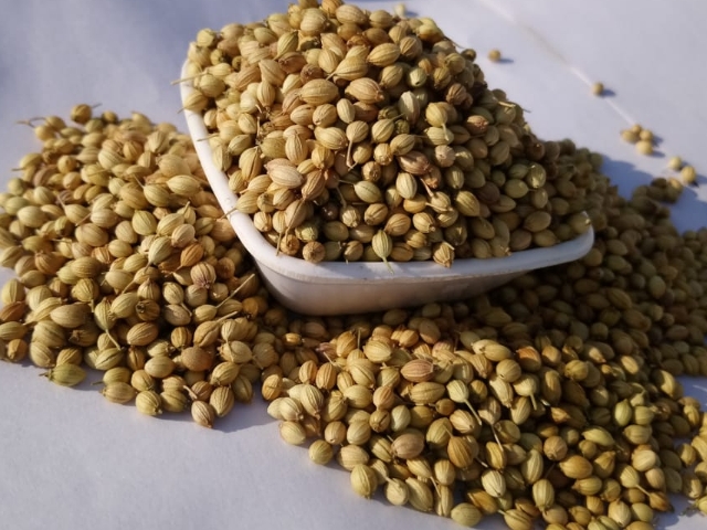 Scooter Coriander Seeds, Feature : Natural