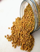 Raw Fenugreek Seed, Color : Natural Green