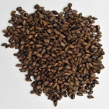 Fuwad Seeds, Packaging Type : Drum, Plastic Container, Vacuum Packed