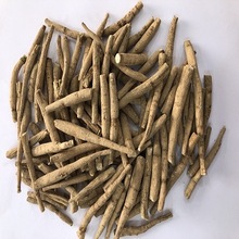 Ginseng Tea, Form : Root, Powder