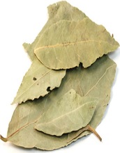 Bay leaf, Extraction Type : Leaves, Powder