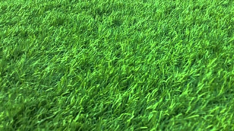 PP Artificial Grass, Color : Green
