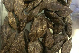 Muri Agarwood Chips, for Burning Use, Color : Brown
