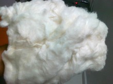 Spinning Waste Cotton Comber Noil