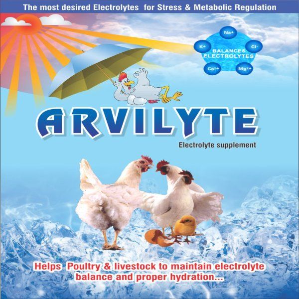 Electrolyte Supplement