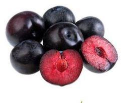 Black Plum