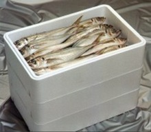 fish box