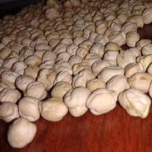 White Dried Chickpeas, Packaging Type : 25 kg pp bag