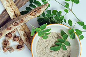 Moringa Seed Powder