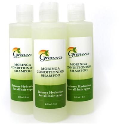 Moringa Shampoo