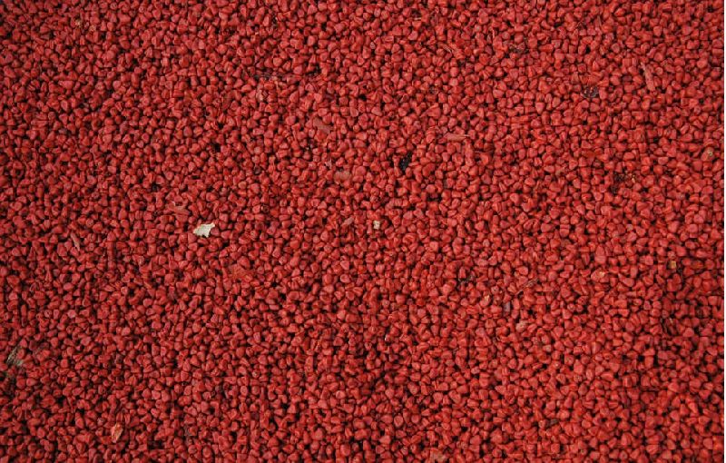 annatto seeds