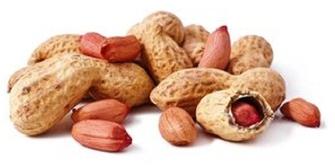 peanuts prices 1kg raw blanched price roasted peanut blanched peanuts price