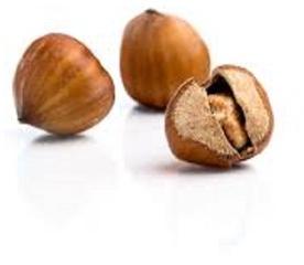 Excellent Quality Blanched Hazelnuts/ Organic Hazel Nuts
