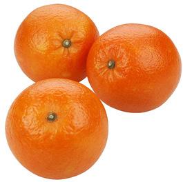 Freshly Harvested Valencia Citrus Oranges For Export
