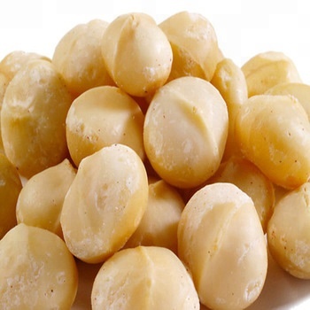 Macadamia Nuts With Shell/ Roasted Macadamia