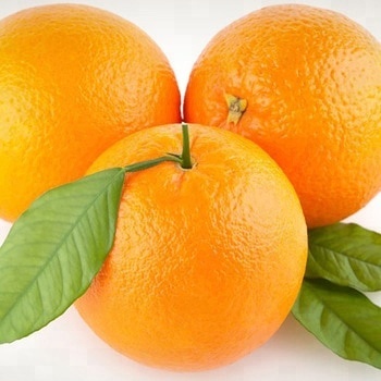 Sweet Valencia Fresh Oranges