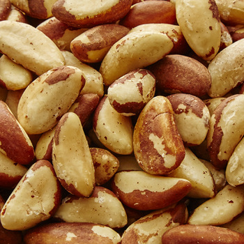Organic Brazil Nuts (Raw, No Shell)