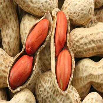 Peanut Packing Peanuts