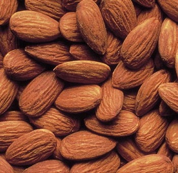 Sweet/Bitter Almond Nuts For Export