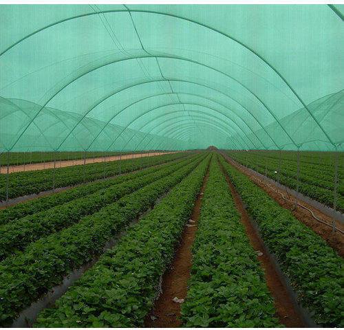 Agro Shade Net, for Agricultural Industry, Pattern : Plain