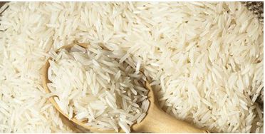 Hard Organic basmati rice, for Cooking, Food, Human Consumption, Style : Fresh